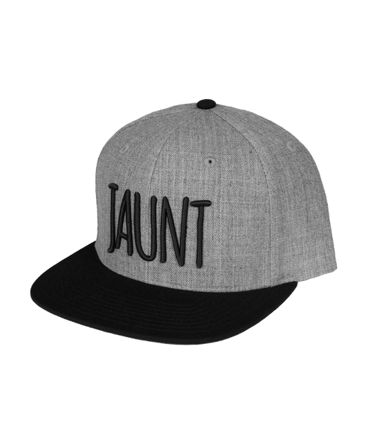 Jaunt Flat Brim Hat