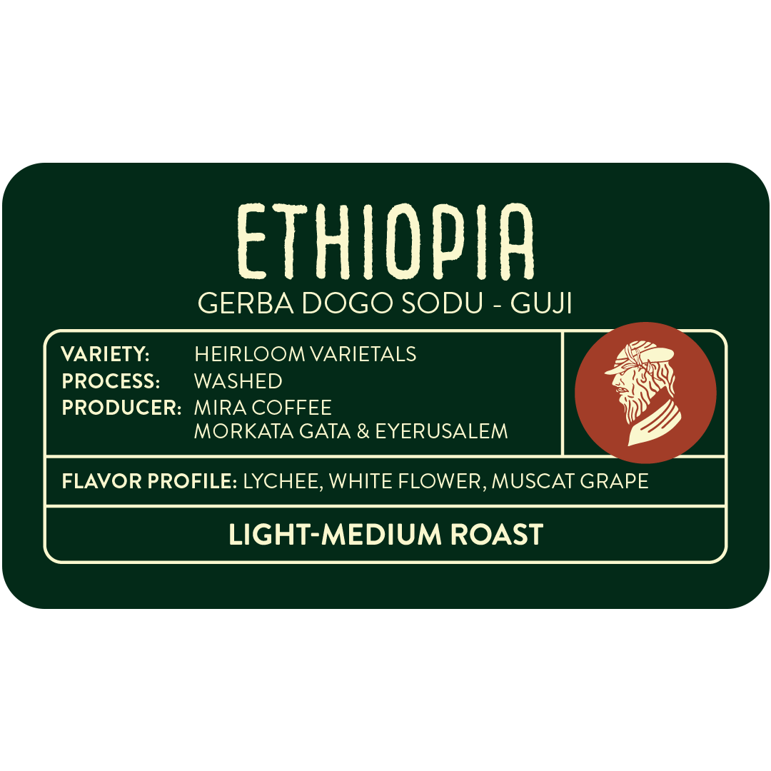 Ethiopia Gerba Dogo Sodu Guji - Light-Medium Roast Single-Origin Coffee